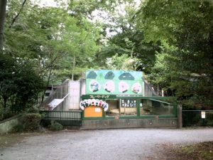 羽村動物公園内の道　プレイリードック
